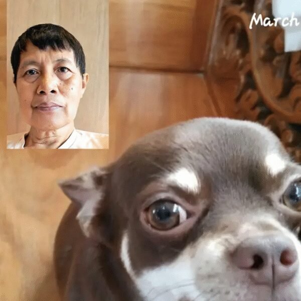 Melesandy Agustin